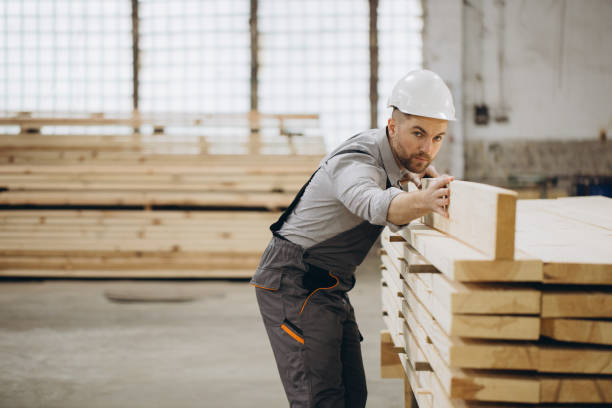 Le métier de charpentier comporte de nombreux risques techniques et financiers. En effet, une simple erreur peut avoir de lourdes