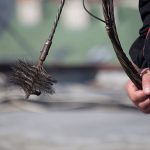 Quelle assurance ramoneur couvre un professionnel ?