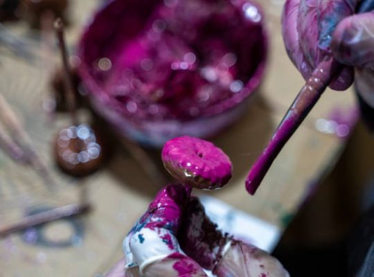 Le peintre décorateur intervient pour valoriser les surfaces intérieures. De plus. Il applique peintures, revêtements muraux